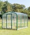 Year-Round Produce: The Promise of Greenhouses