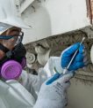 Tips for Planning an Asbestos Survey