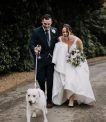 Dog wedding Attire That Will Make Dog weddings Extra Special